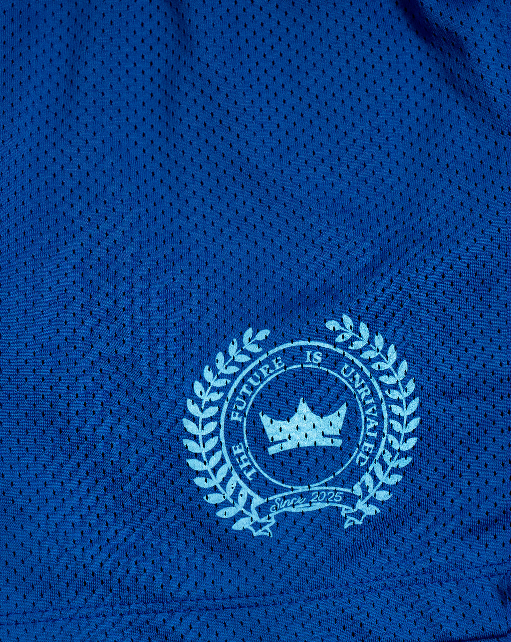 Heavyweight Mesh League Shorts - Royal