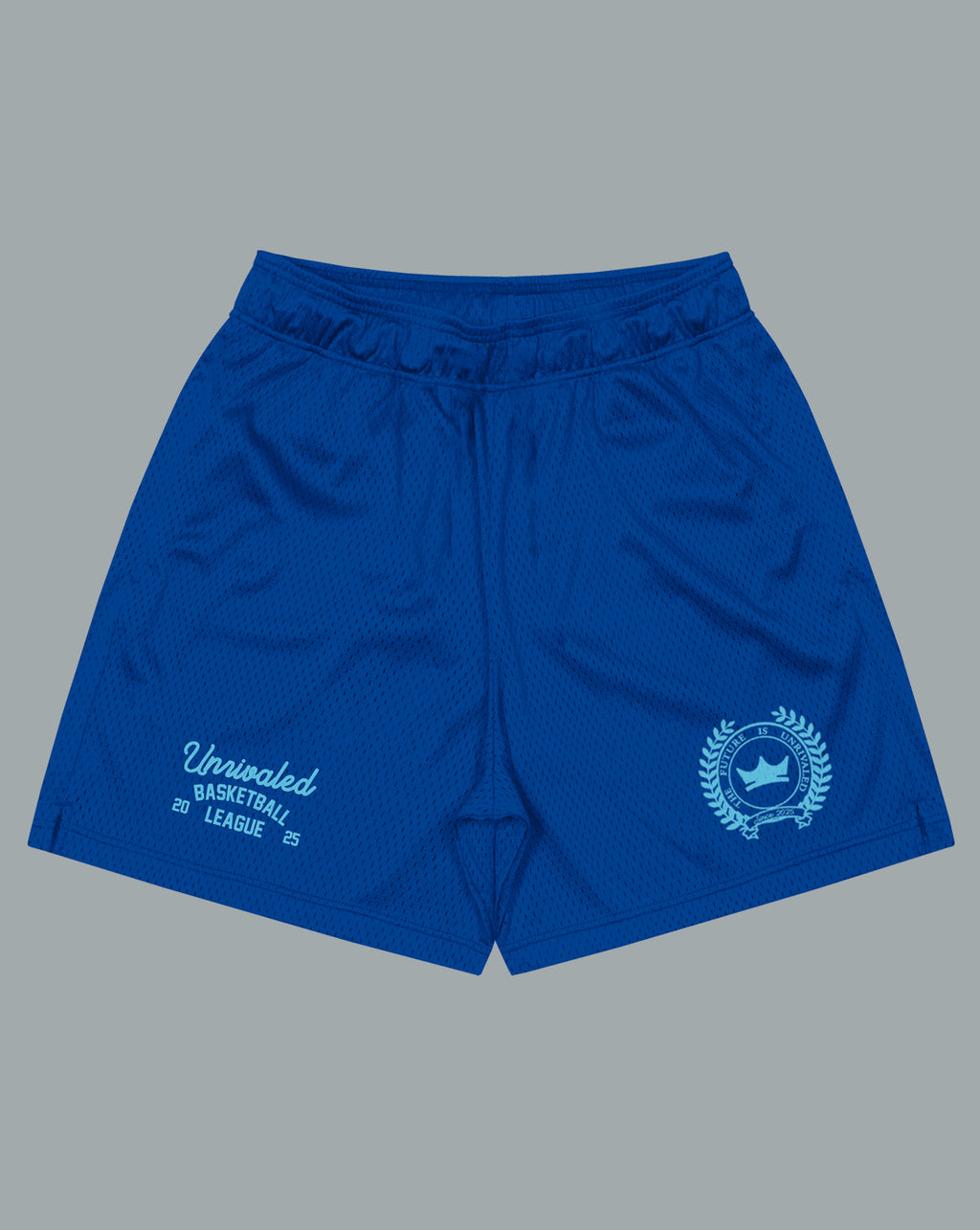 Heavyweight Mesh League Shorts - Royal