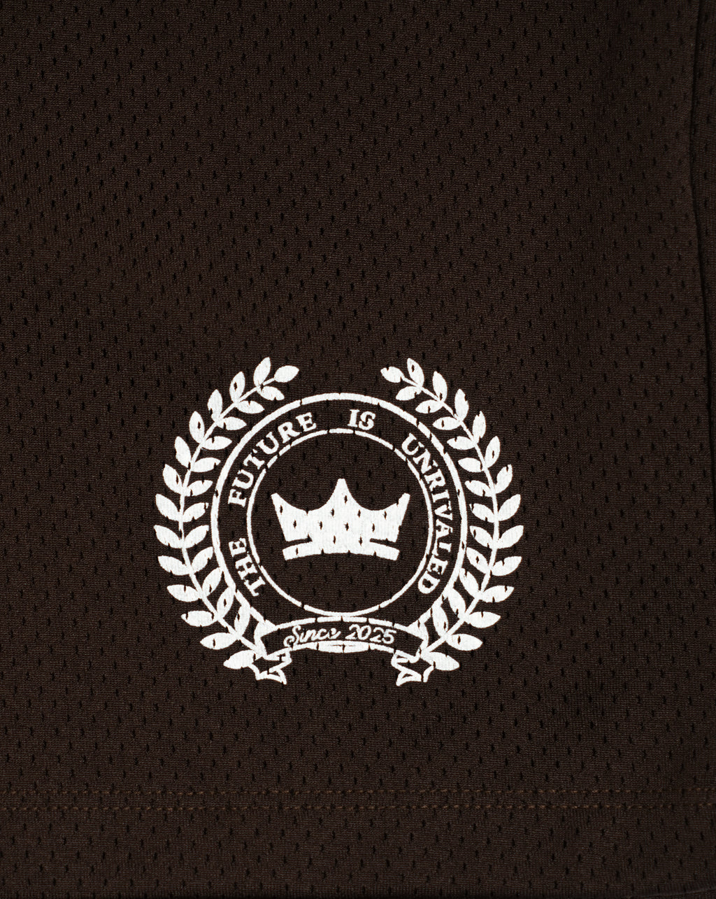 Heavyweight Mesh League Shorts - Brown